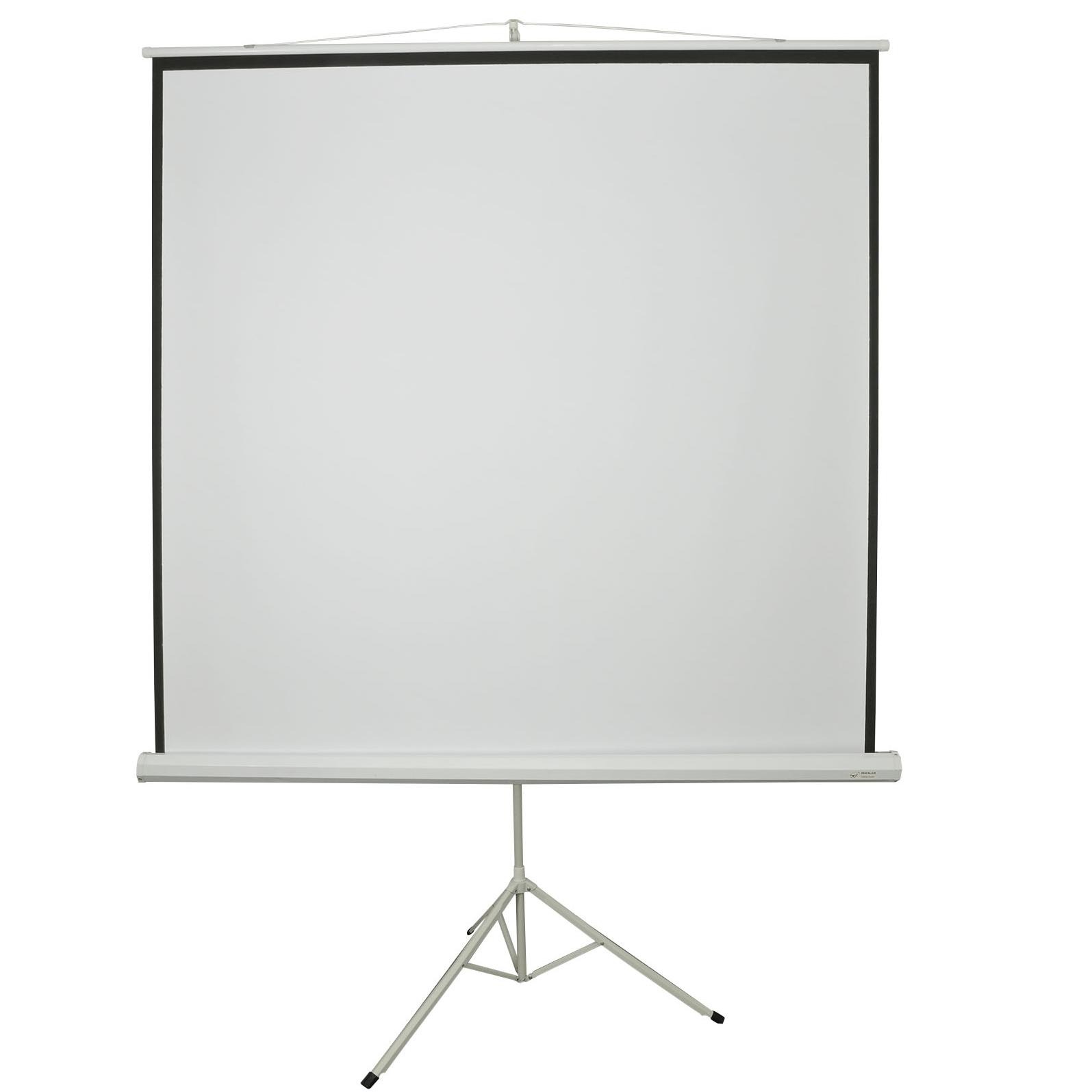 Projector Screens Lizard Events Ltd